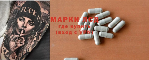 тгк Инсар