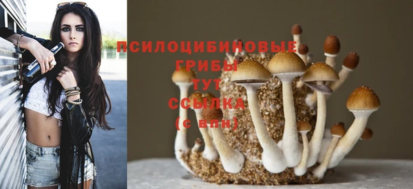 МДПВ Инта