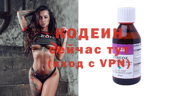 тгк Инсар