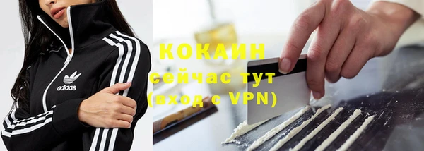 МДПВ Инта