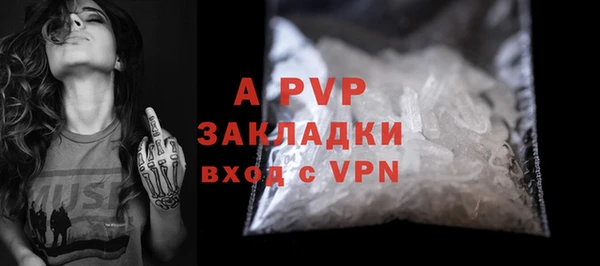 тгк Инсар