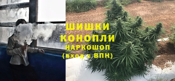 тгк Инсар