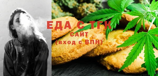 тгк Инсар