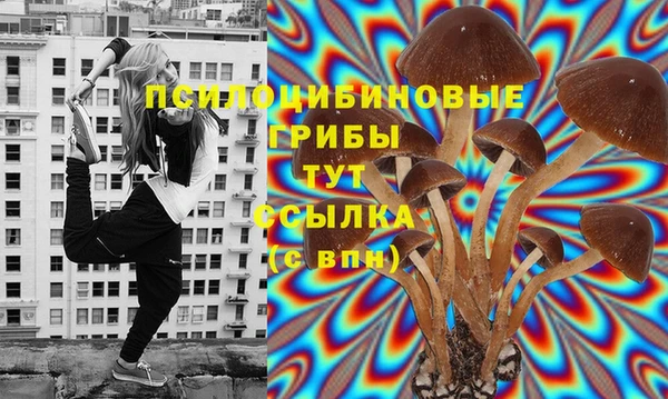 МДПВ Инта