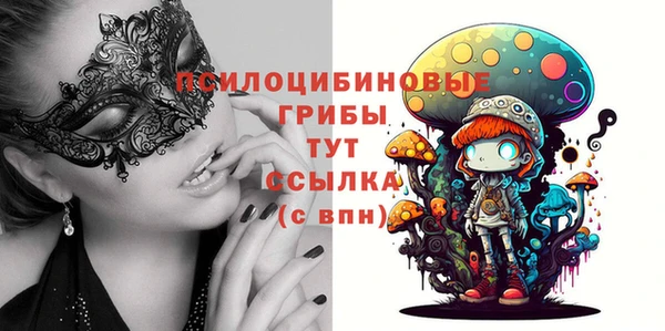 тгк Инсар
