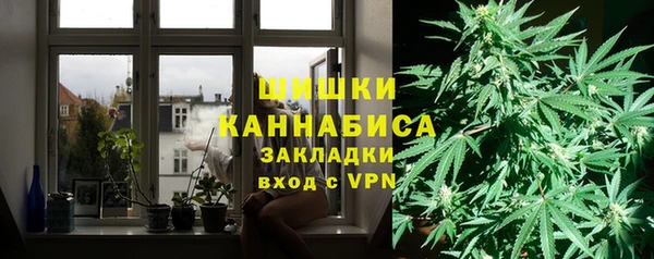 МДПВ Инта