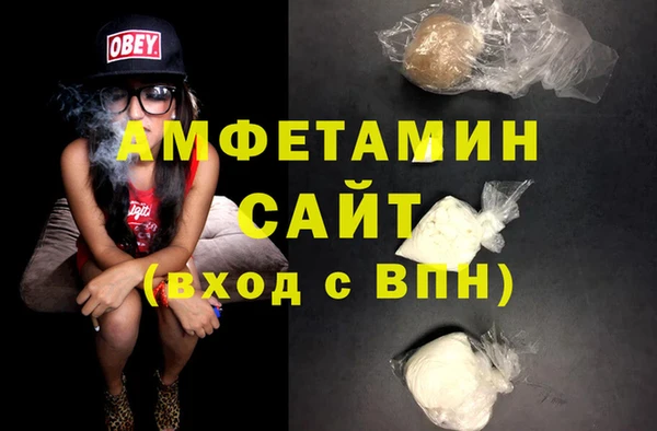 тгк Инсар