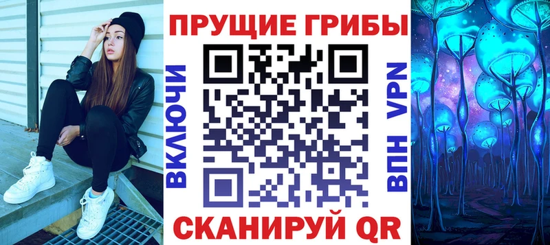 Купить  Змеиногорск  Псилоцибиновые грибы Psilocybe 